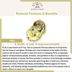 Buddha Stones Natural Citrine Pi Xiu Stretch Bracelet Bracelet BS 5