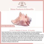 Buddha Stones 925 Sterling Silver Queen Conch Shell Pearl Luck Blessing Earrings Necklace Pendant Jewelry Set Bracelet Necklaces & Pendants BS 9