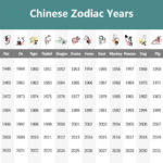 Buddha Stones Natural Cinnabar Chinese Zodiac Ruyi Handle Fu Character Lotus Blessing Red String Belly Chain Belly Chain BS 10