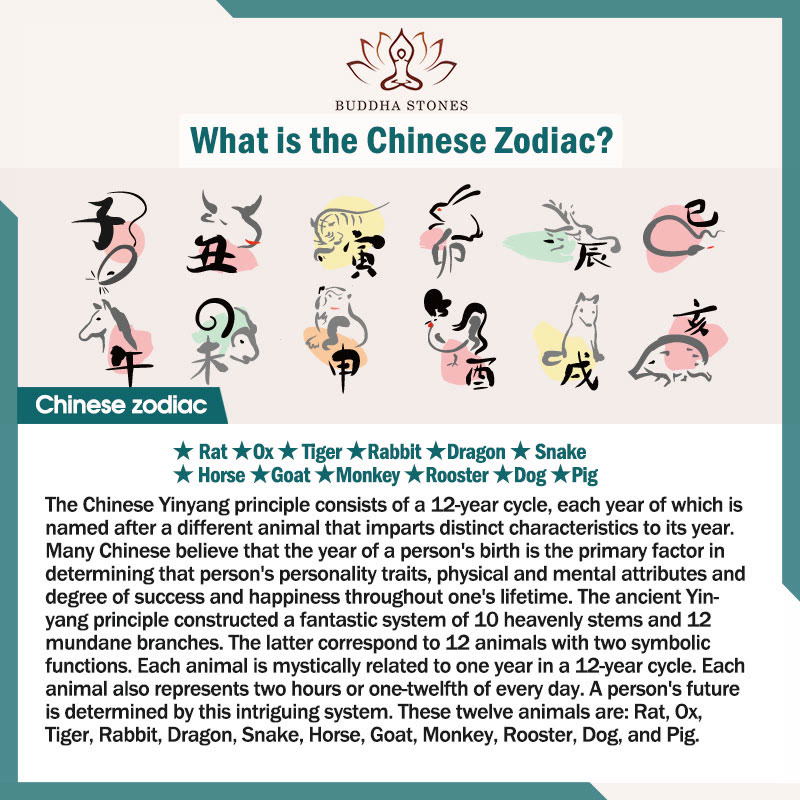 Buddha Stones Cinnabar Chinese Zodiac Black String Blessing Necklace Pendants Necklaces & Pendants BS 2
