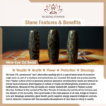 Buddha Stones Nine-Eye Dzi Bead Bodhi Seed Lotus Protection Brooch Brooch BS 5