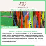 Buddha Stones Colorful Rainbow Eucalyptus Gourd Positive Bracelet - image 8