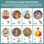 Buddha Stones Thangka Tibetan Chinese Zodiac Zakiram Colorful Rope Connection String Bracelet - image 5