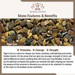 Buddha Stones Cute Bone Pattern Tiger Eye Courage Beads Bracelet - image 4