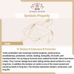 Buddha Stones Turtle Design Zebra Jasper Protection Bracelet - image 10