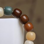 Buddha Stones Multicolored Bodhi Seed Keep Away Evil Spirits Bracelet Bracelet BS 5