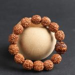 Buddha Stones Tibet Rudraksha Bodhi Seed PiXiu Copper Coin Wealth Luck Bracelet Bracelet BS 2