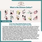 Buddha Stones Tibet Handmade Chinese Zodiac Natal Buddha Luck Strength Braided String Bracelet Bracelet BS 31