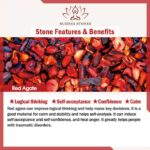 925 Sterling Silver Lotus Red Agate Confidence Blessing Ring (Extra 30% Off | USE CODE: FS30) Ring BS 12