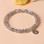 12 Constellations of the Zodiac Moonstone Charming Bracelet Bracelet BS 6