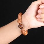 Buddha Stones Tibet Rudraksha Bodhi Seed PiXiu Copper Coin Wealth Luck Bracelet Bracelet BS 9