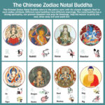 Buddha Stones Chinese Zodiac Natal Buddha Heart Sutra Carved Titanium Steel Calm Rotatable Ring Ring BS 6