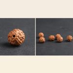 Buddha Stones Tibet Rudraksha Bodhi Seed PiXiu Copper Coin Wealth Luck Bracelet Bracelet BS 12