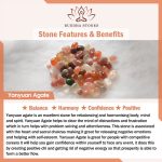 Buddha Stones Yanyuan Agate Cat Claw Paw White Bodhi Seed Fu Character Positive Braided Rope Bracelet Bracelet BS 6