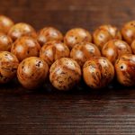Buddha Stones Tibetan Bodhi Seed Wisdom Bracelet Bracelet BS 4