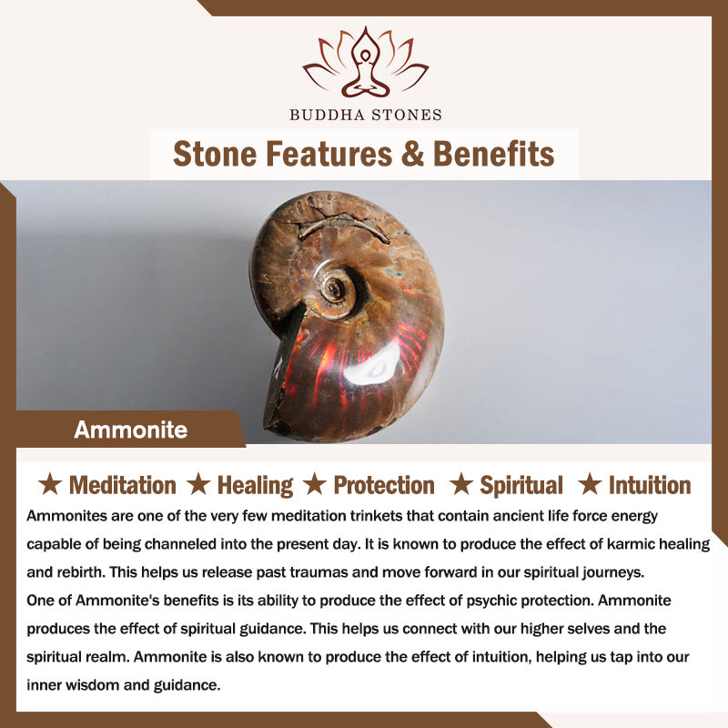 Buddha Stones Natural Ammonite Fossil Snail Pattern Meditation Healing Necklace Pendant Necklaces & Pendants BS 1