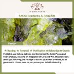 Buddha Stones Natural Peridot Bamboo Pattern Love Peace Bracelet Bracelet BS 11