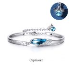 Buddha Stones 925 Silver Plated Copper 12 Constellations of the Zodiac Charm Bracelet Bracelet BS Capricorn