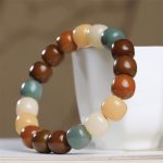 Buddha Stones Multicolored Bodhi Seed Keep Away Evil Spirits Bracelet Bracelet BS 1