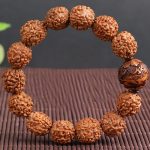 Buddha Stones Tibet Rudraksha Bodhi Seed PiXiu Copper Coin Wealth Luck Bracelet Bracelet BS 4