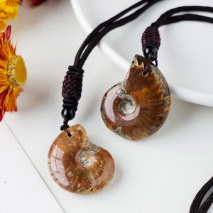 Buddha Stones Natural Ammonite Fossil Snail Pattern Meditation Healing Necklace Pendant Necklaces & Pendants BS Ammonite(Meditation♥Healing)