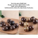 Buddha Stones Bodhi Seed Lotus Wisdom Harmony Necklace Pendant Necklaces & Pendants BS 15