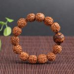 Buddha Stones Tibet Rudraksha Bodhi Seed PiXiu Copper Coin Wealth Luck Bracelet Bracelet BS 7