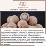 Buddha Stones Bodhi Seed Auspicious Cloud Fu Character Bead Peace Bracelet Bracelet BS 17