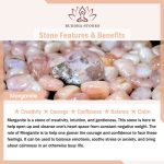 Buddha Stones Natural Morganite Confidence Butterfly Charm Bracelet Bracelet BS 6