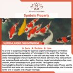 Buddha Stones Koi Fish Copper Balance Luck Adjustable Ring Rings BS 15