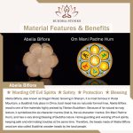 Buddha Stones Natural Abelia Biflora Wood Hetian Jade Bamboo Bead Warding Off Evil Spirits Bracelet Bracelet BS 12