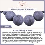 Buddha Stones Tibetan Double Layer Cypress Bodhi Lotus Healing Bracelet Bracelet BS 9