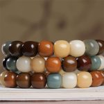 Buddha Stones Multicolored Bodhi Seed Keep Away Evil Spirits Bracelet Bracelet BS 3