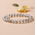 12 Constellations of the Zodiac Moonstone Charming Bracelet Bracelet BS 5
