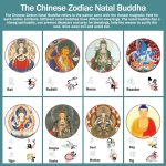 Buddha Stones 925 Sterling Silver Handmade Chinese Zodiac Natal Buddha Luck Protection Braided String Bracelet (Extra 30% Off | USE CODE: FS30) Bracelet BS 11
