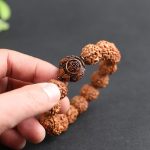 Buddha Stones Tibet Rudraksha Bodhi Seed PiXiu Copper Coin Wealth Luck Bracelet Bracelet BS 5