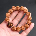 Buddha Stones Tibet Rudraksha Bodhi Seed PiXiu Copper Coin Wealth Luck Bracelet Bracelet BS Rudraksha Bodhi Seed