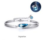 Buddha Stones 925 Silver Plated Copper 12 Constellations of the Zodiac Charm Bracelet Bracelet BS Aquarius