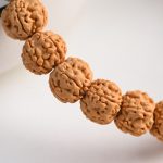 Buddha Stones Tibet Rudraksha Bodhi Seed Wealth Auspiciousness Bracelet Bracelet BS 3