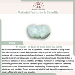Buddha Stones Natural Jade Pi Xiu Buddha Gourd Apple Success Bracelet Bracelet BS 11