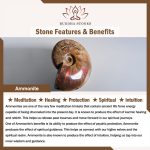 Buddha Stones Natural Ammonite Fossil Snail Pattern Meditation Healing Necklace Pendant Necklaces & Pendants BS 8