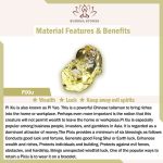 Buddha Stones Natural Citrine Double PiXiu Tiger Eye Prosperity Protection Bracelet Bracelet BS 16