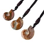 Buddha Stones Natural Ammonite Fossil Snail Pattern Meditation Healing Necklace Pendant Necklaces & Pendants BS 6
