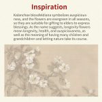 Buddha Stones Natural Jade Kalanchoe blossfeldiana Flower Pattern Luck Necklace Pendant Necklaces & Pendants BS 9