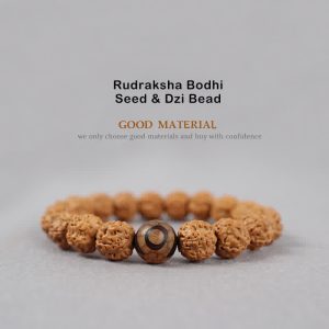 Buddhastoneshop Tibet Rudraksha Bodhi Seed Dzi Bead Amber Turquoise Wealth Bracelet