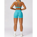 Buddha Stones Gym Sports Yoga Backless Bra Crop Tank Top Breathable Shorts 2-Piece Outfit BS 5