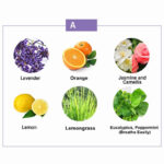 Buddha Stones 6Pcs Lavender Orange Jasmine Lemongrass Soothing Aromatherapy Healing Essential Oils Set Essential Oil BS 3