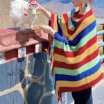 Buddha Stones Tibetan Colorful Striped Design Shawl Tassels Pullover Winter Cozy Travel Scarf Wrap Tibetan Shawl BS 4