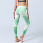 Buddha Stones Mint Cream Mountains Wild Goose Print Sports Leggings Women's Yoga Pants - image 5