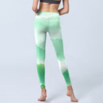 Buddha Stones Mint Cream Mountains Wild Goose Print Sports Leggings Women's Yoga Pants - image 7